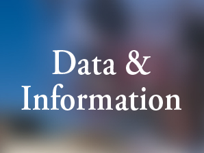 datainformation